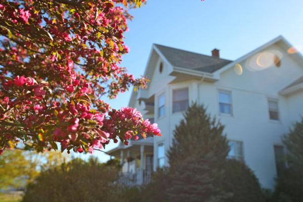 Twin Peaks B&B Mindemoya Εξωτερικό φωτογραφία
